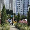 다산매일약국 이미지