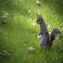 허브힐링가든 이미지