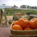 정우농장 이미지