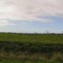 대평원목장 이미지