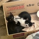 CU진해마천해오름점 이미지