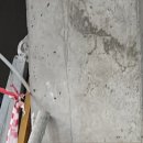 교보생명안양영업국 이미지