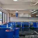 정일식품 이미지