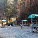 솔밭체육공원 오토캠핑장 이미지