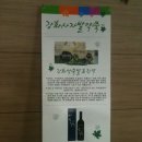 외포농장 | [소셜여행] 강화도 소셜여행 후기