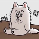 어반브라운 이미지