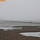 대부도 관광안내소 이미지