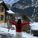 세미초등학교 | 유럽 여행 후기 4 | 내돈내산 마이유럽 세미패키지 스위스 독일 여행 코스 추천