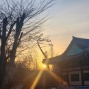일출해장국 네이버블로그