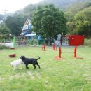 한계령오색펜션 이미지