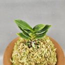 봉호농장 이미지