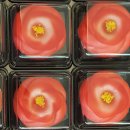 천일약국 이미지