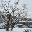 석정온천휴스파 이미지