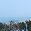 리벤티아 이미지