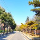 상원고등학교 이미지