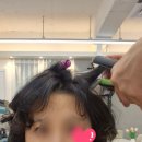 진주신안동미용실 보하비헤어 진주 신안점 수제열펌 후기｜손질 편한 자연스러운 펌