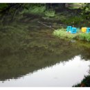 대광농장 이미지