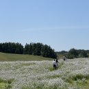 성읍리-24 이미지