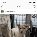 수원-0833 이미지