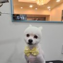 뚜뚜네 미용실 이미지