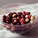 비거농장 | 생밤 보관하는 방법 &amp; 밤벌레 방지 꿀팁 완벽 정리| 1년 내내 달콤한 꿀맛!