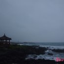 제주올레카라반 & 캠핑 이미지