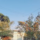 웃더럭민박 이미지