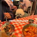 애견운동공원 | 동탄 애견동반 분위기 좋은 술집&amp;맛집 ! (생황 맥주 동탄 호수공원점) 🍻🐶