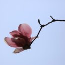 물빛하늘펜션 이미지