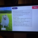은평구 응암역 감성가득한 야외테라스 치킨 술집 맛집 치맥라이프