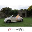 정훈빌딩 | 의정부빅사이즈한복 입고 레전드 갱신