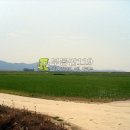 구하리농장 이미지