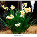 갈라펜션 이미지