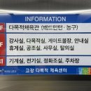 고강다목적체육센터 이미지