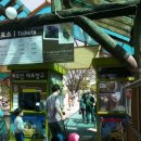 호양농장 | 일산 테마파크 주주동물원? 아니공 쥬쥬동물원!!! 모래랑 앵무랑 놀자.