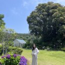 비비큐신풍 | [제주여행 day 3, 4🌿] 제주올레시장, 제주도호캉스, 제주스타벅스프리퀀시, 제주도맛집