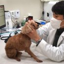 다움동물병원 이미지