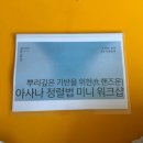요가해보리
