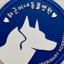 하군이네 동물병원 이미지