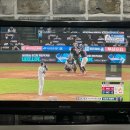 앙꼬당구장 | [경주 애견동반 여행 / 애견펜션 ] JS애견풀빌라 (대형개별풀빌라객실 104호 후기)