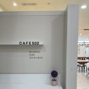 카페502 티스토리