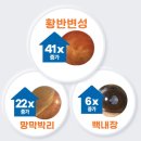 안경진정성 대전전민점 이미지