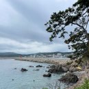 충효1길(서) | 경북 경주, 1박 2일, 2박 3일 여행 코스 현지인 인생 맛집 가볼 만한 곳 숙소 추천 내돈내산 솔직 후기