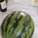 브릭스9 | 🍉쿠팡 수박이 그렇게 맛있다고? 11브릭스 9kg 수박 솔직 후기