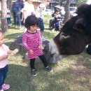 새영해어린이집 이미지