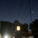 대학당동물약국 이미지