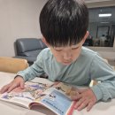 세계지리 여행 | 아이와 함께 세계여행 시작! 지리마블 인도 서평단 후기