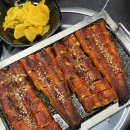 익산 복날 몸보신 장어 맛집 일만민물장어 (구 창평민물장어)