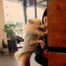 24시청주i동물병원 이미지