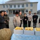 동지농장 이미지